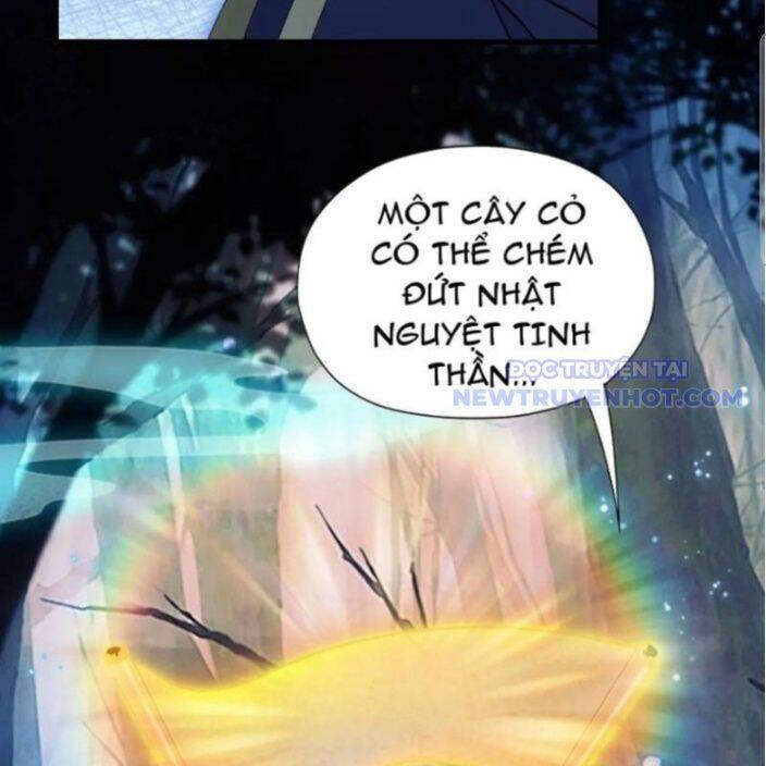 Hoá Ra Ta Đã Vô Địch Từ Lâu - Chapter 246 - Page 146