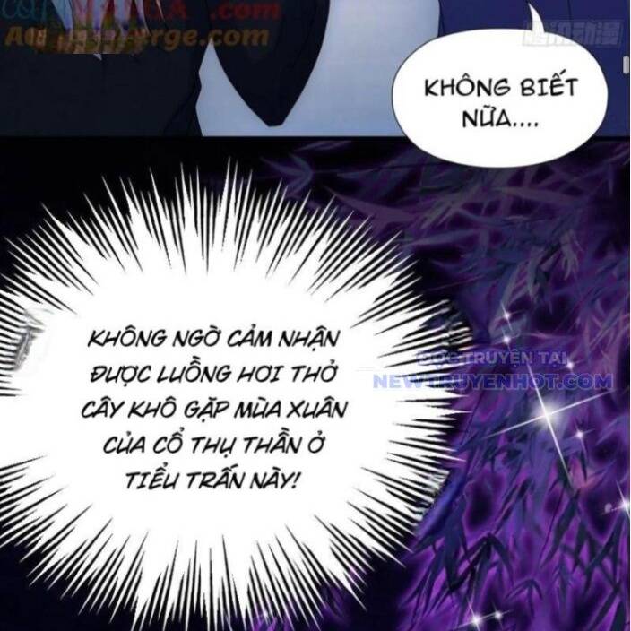 Hoá Ra Ta Đã Vô Địch Từ Lâu - Chapter 248 - Page 85