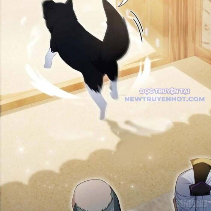 Hoá Ra Ta Đã Vô Địch Từ Lâu - Chapter 249 - Page 47