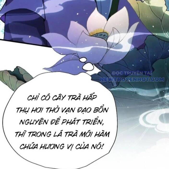 Hoá Ra Ta Đã Vô Địch Từ Lâu - Chapter 249 - Page 92