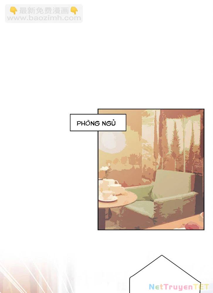 Ông Trời Đã Ban Cho Tôi Siêu Năng Lực Kỳ Lạ Gì Thế Này? - Chapter 41 - Page 20