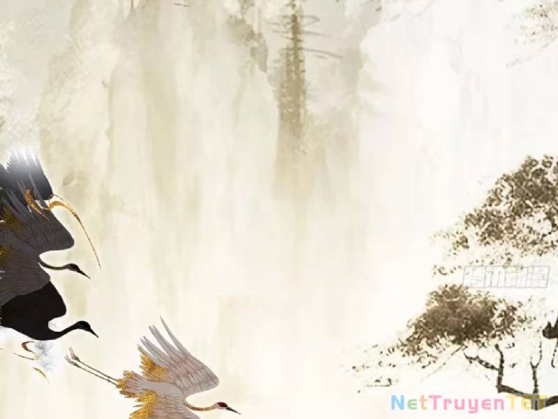 Hoá Ra Ta Đã Vô Địch Từ Lâu - Chapter 251 - Page 5