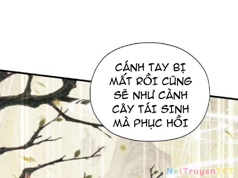 Hoá Ra Ta Đã Vô Địch Từ Lâu - Chapter 251 - Page 65