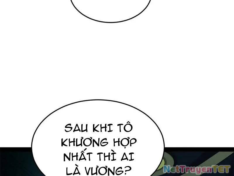 Chàng Rể Mạnh Nhất Lịch Sử - Chapter 265 - Page 11
