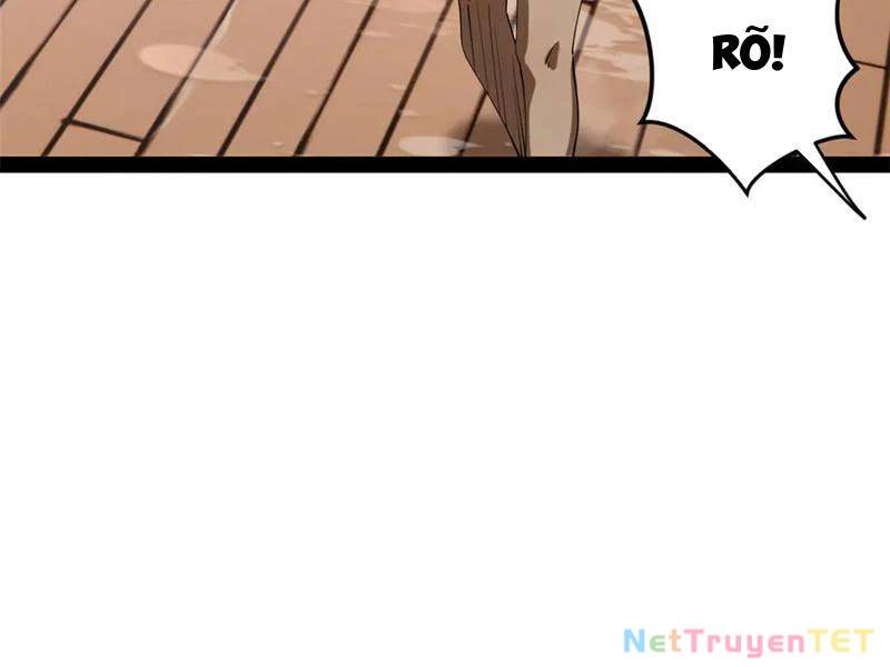 Chàng Rể Mạnh Nhất Lịch Sử - Chapter 265 - Page 49