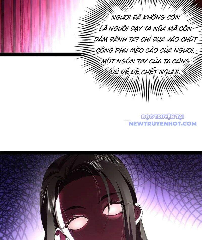 Chàng Rể Mạnh Nhất Lịch Sử - Chapter 267 - Page 20