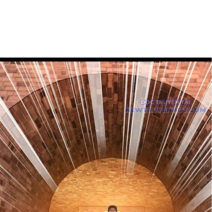 Chàng Rể Mạnh Nhất Lịch Sử - Chapter 269 - Page 12