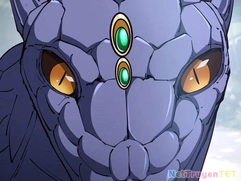 Ta Ký Kết Khế Ước Với Chính Mình Chapter 80 - Trang 11