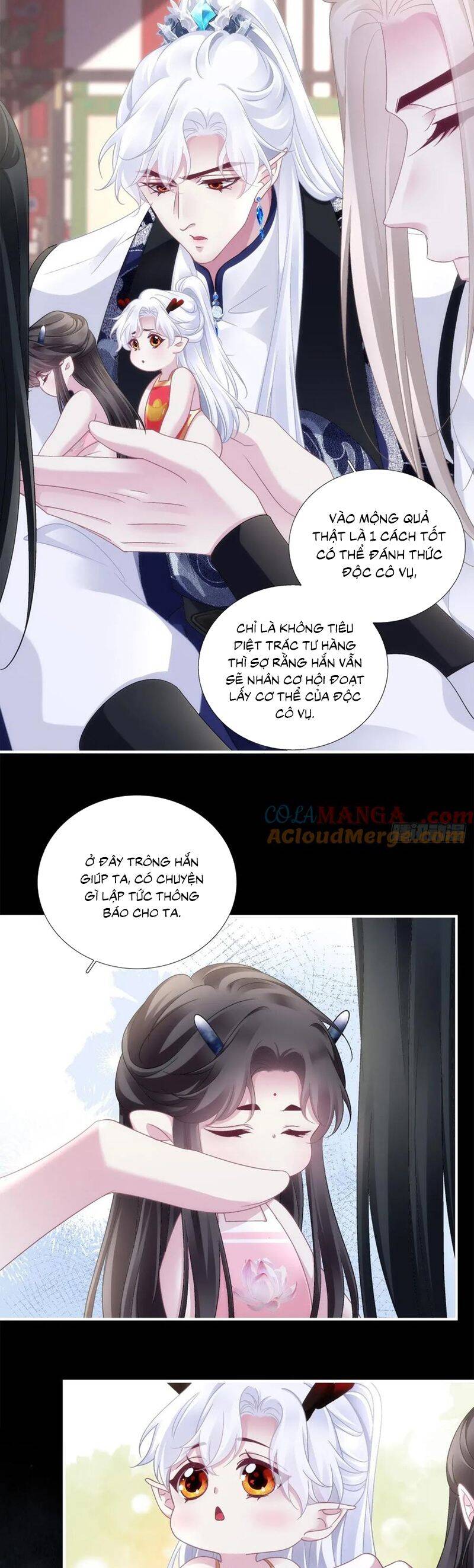 Hắc Hóa Đại Lão Thuần Dưỡng Chỉ Nam - Chapter 169 - Page 7