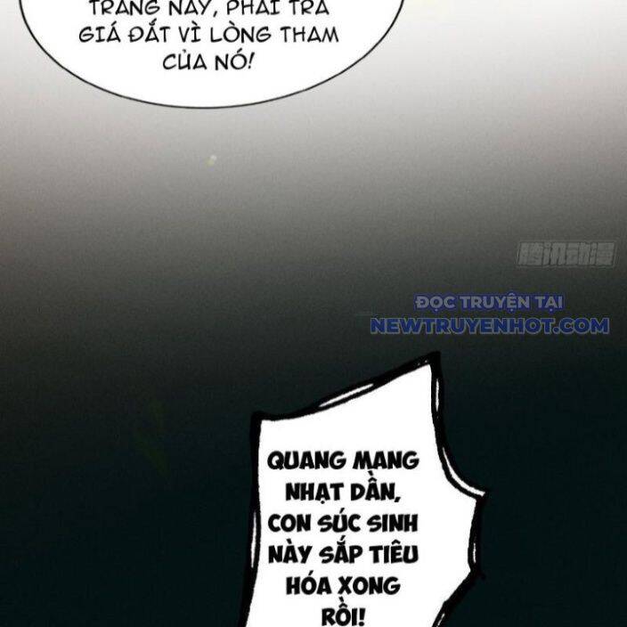 Gặp Mạnh Thì Càng Mạnh, Tu Vi Của Ta Không Giới Hạn - Chapter 17 - Page 24