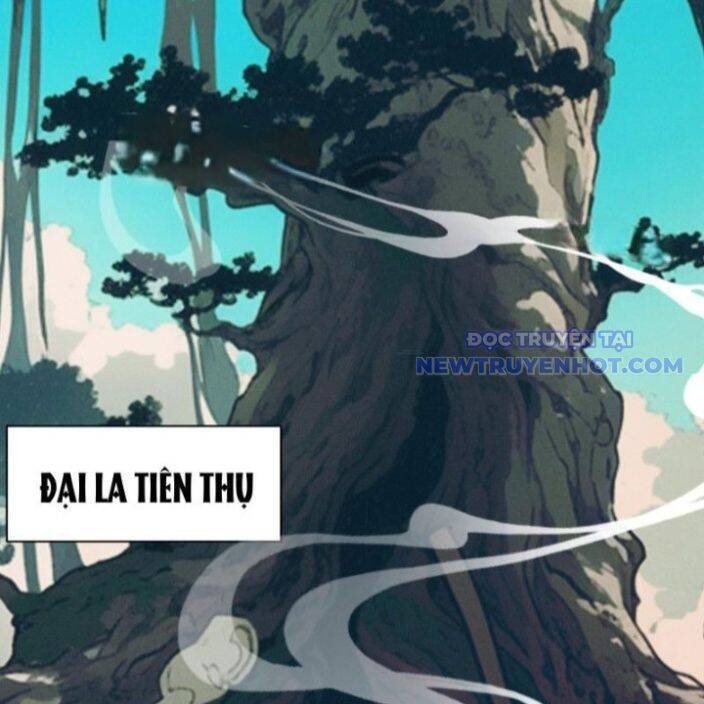 Gặp Mạnh Thì Càng Mạnh, Tu Vi Của Ta Không Giới Hạn - Chapter 17 - Page 4