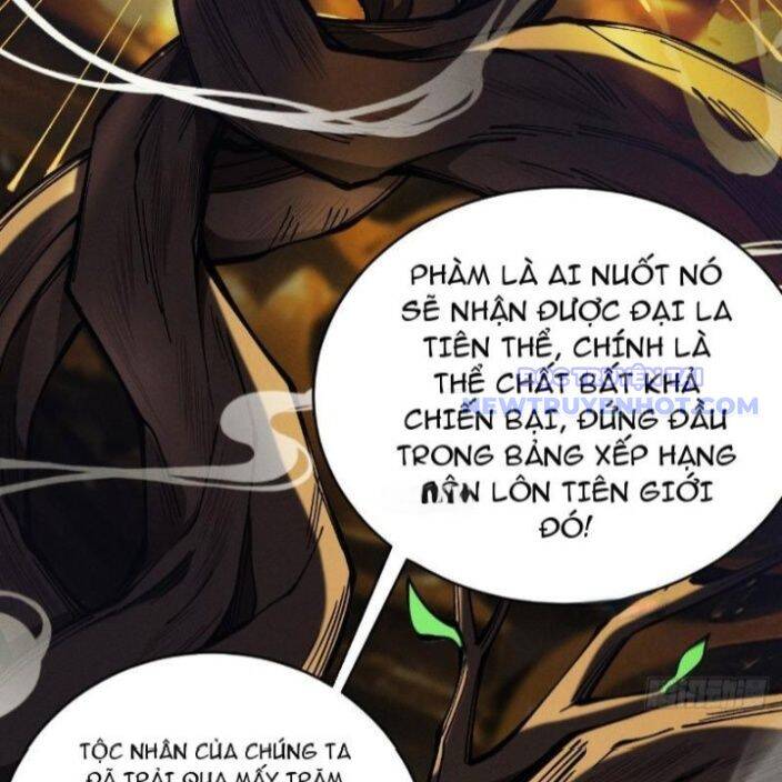 Gặp Mạnh Thì Càng Mạnh, Tu Vi Của Ta Không Giới Hạn - Chapter 17 - Page 76