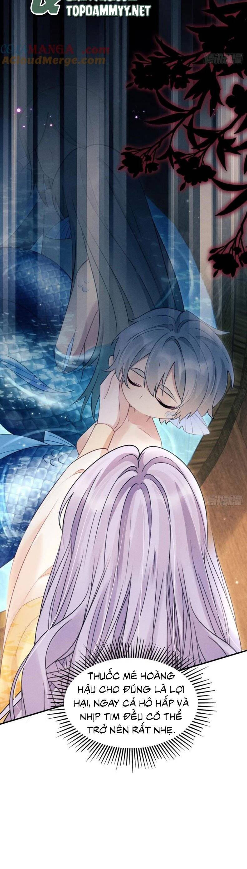 Tôi Hoài Nghi Ảnh Đế Đang Theo Đuổi Tôi Chapter 175 - Trang 21