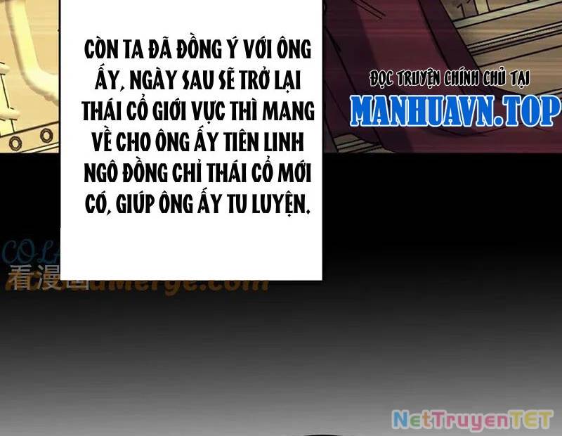 Đệ Tử Tu Luyện Còn Ta Thì Lười Biếng - Chapter 154 - Page 43