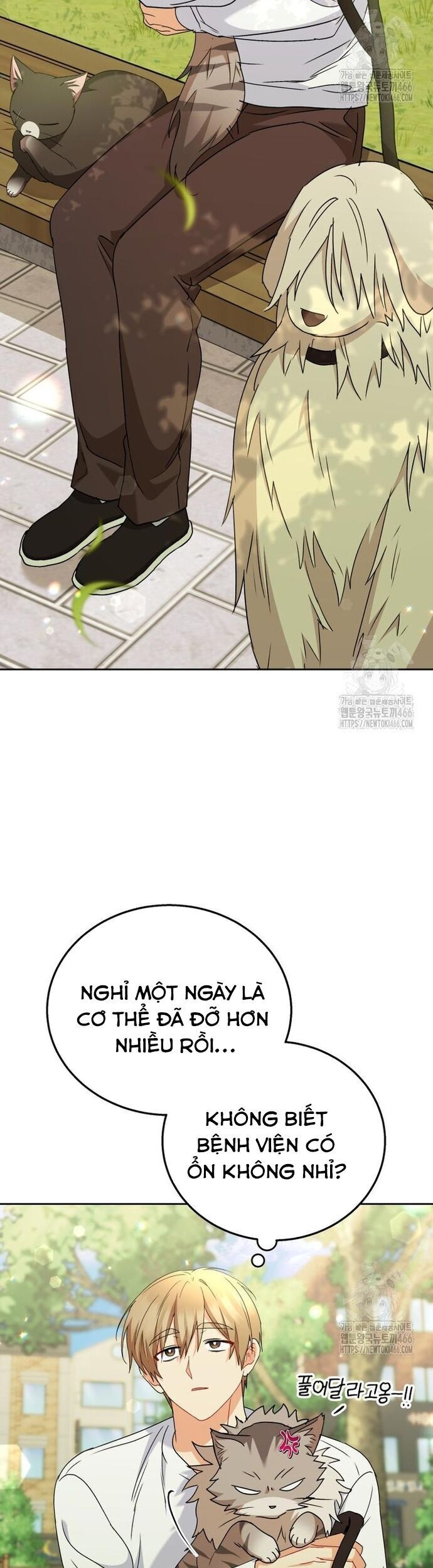 Xin Chào! Bác Sĩ Thú Y - Chapter 74 - Page 26