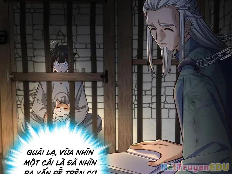 Giết Ta Thêm Vài Lần Nữa, Ta Liền Trở Thành Vô Địch! - Chapter 50 - Page 11
