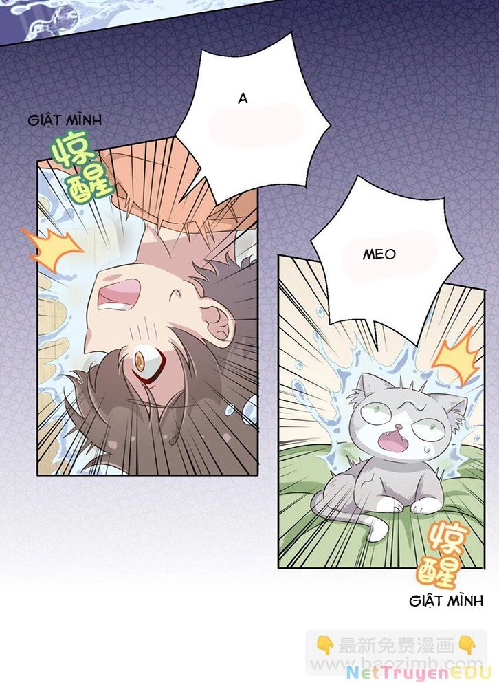 Ông Trời Đã Ban Cho Tôi Siêu Năng Lực Kỳ Lạ Gì Thế Này? - Chapter 46 - Page 35