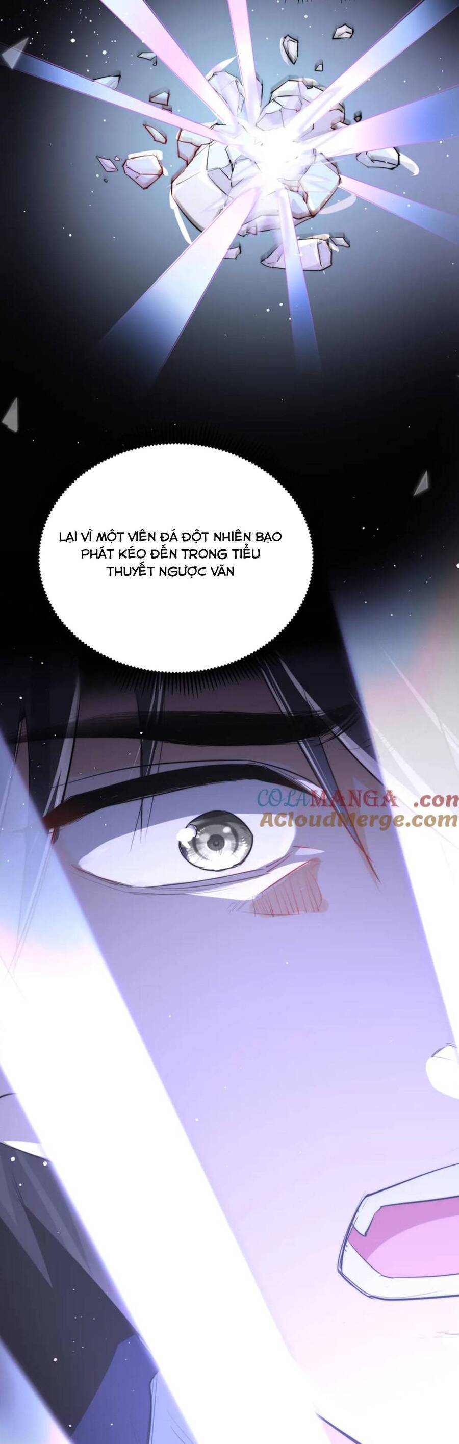 Tiểu Bảo Bối Đặc Biệt Của Tổng Tài Lạnh Lùng - Chapter 36 - Page 6