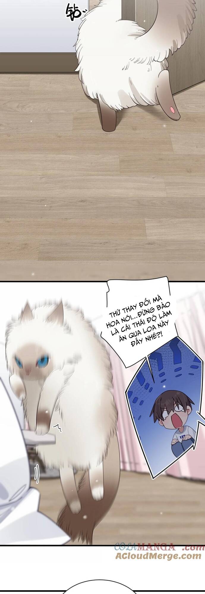 Làm Sao Để Chạy Trốn Dàn Hậu Cung Chapter 137 - Trang 14