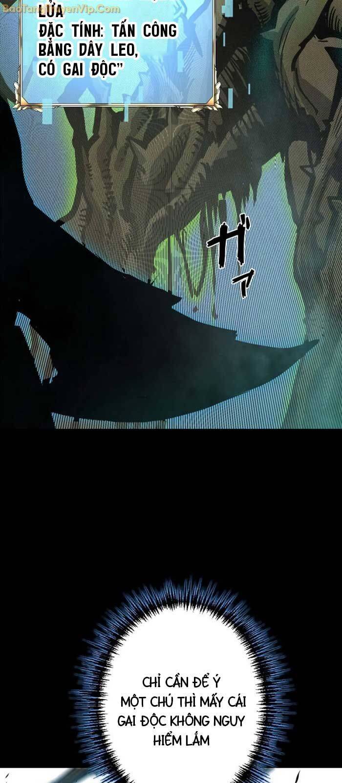 Trở Thành Anh Hùng Mạnh Nhất Nhờ Gian Lận - Chapter 27 - Page 13