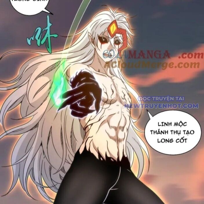 Cao Đẳng Linh Hồn Chapter 319 - Trang 17