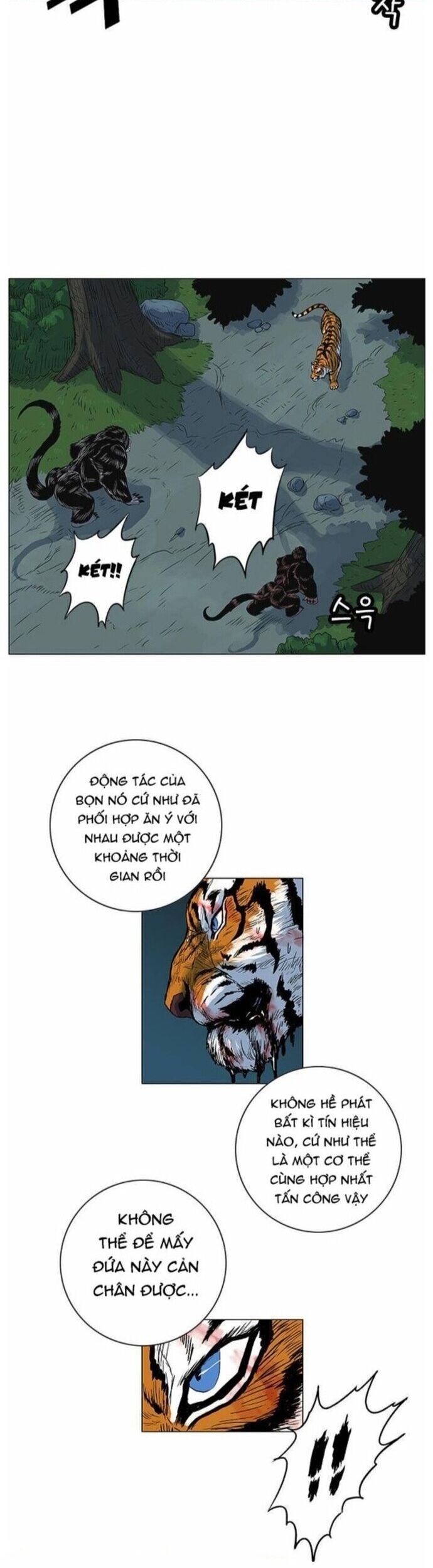 Anh Trai Tôi Là Hổ Chapter 65 - Trang 13