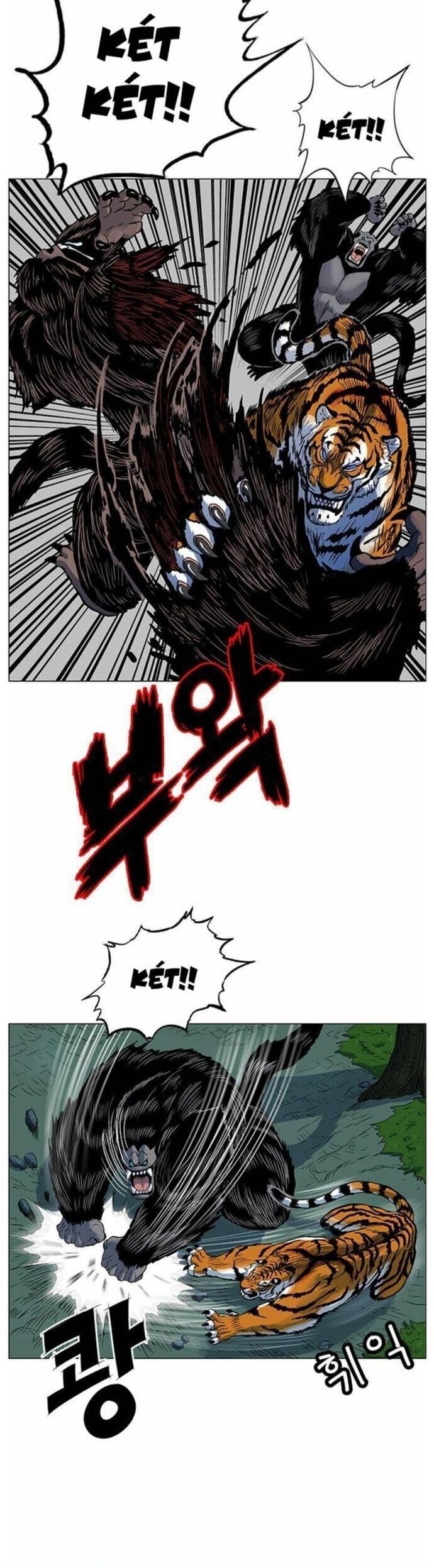 Anh Trai Tôi Là Hổ Chapter 65 - Trang 17