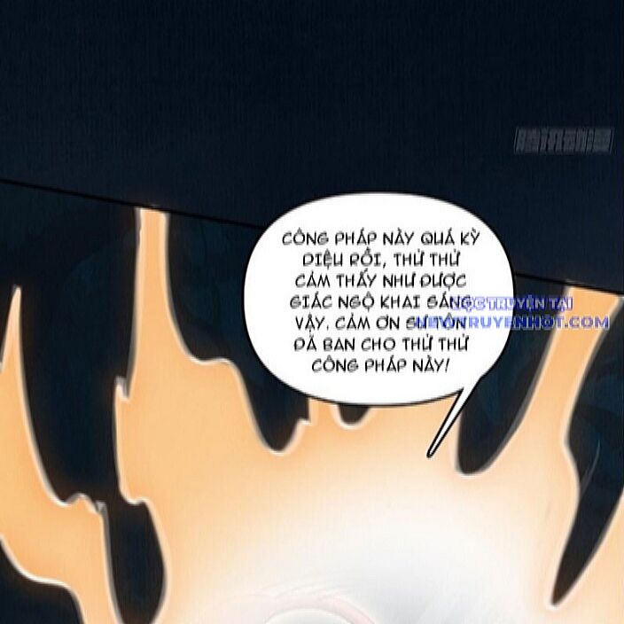 Gặp Mạnh Thì Càng Mạnh, Tu Vi Của Ta Không Giới Hạn - Chapter 19 - Page 13