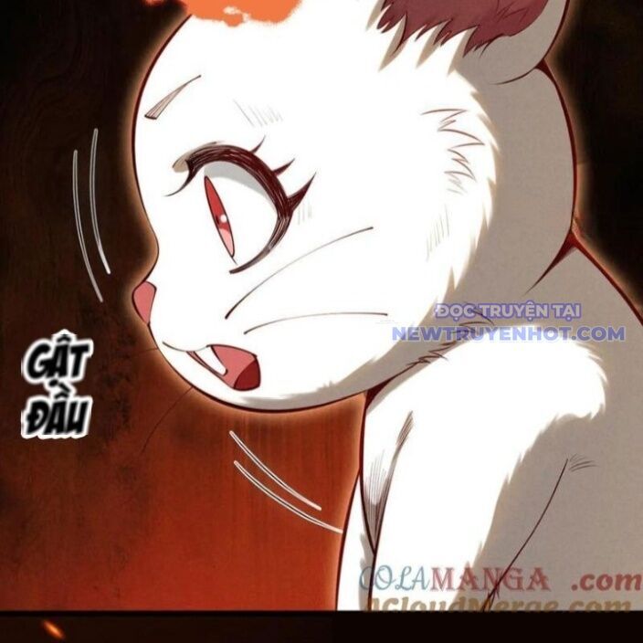 Gặp Mạnh Thì Càng Mạnh, Tu Vi Của Ta Không Giới Hạn - Chapter 20 - Page 20