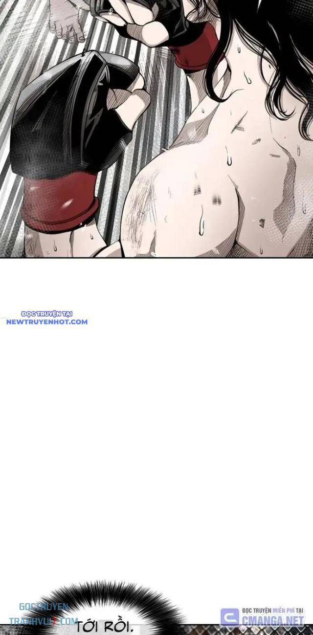 Shark - Cá Mập - Chapter 184 - Page 11