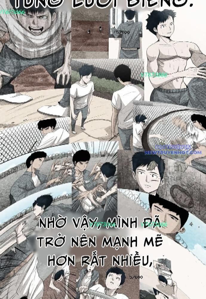 Shark - Cá Mập - Chapter 273 - Page 8