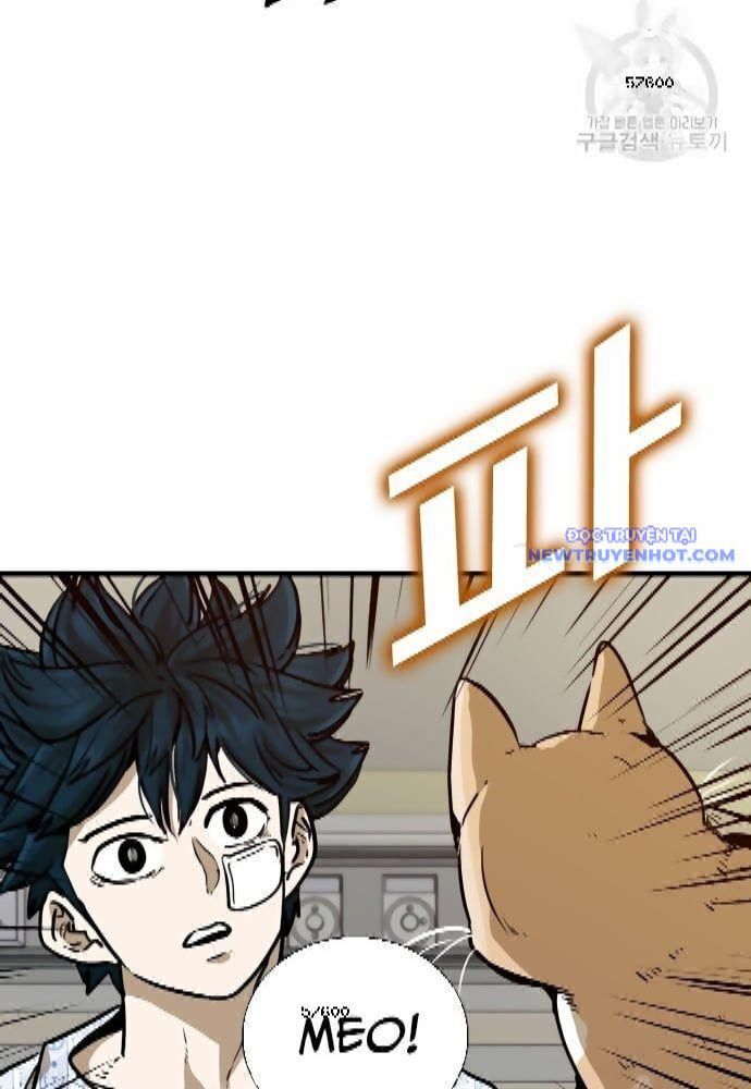 Shark - Cá Mập - Chapter 295 - Page 15