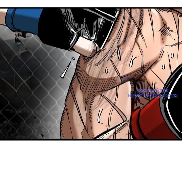 Shark - Cá Mập - Chapter 338 - Page 13