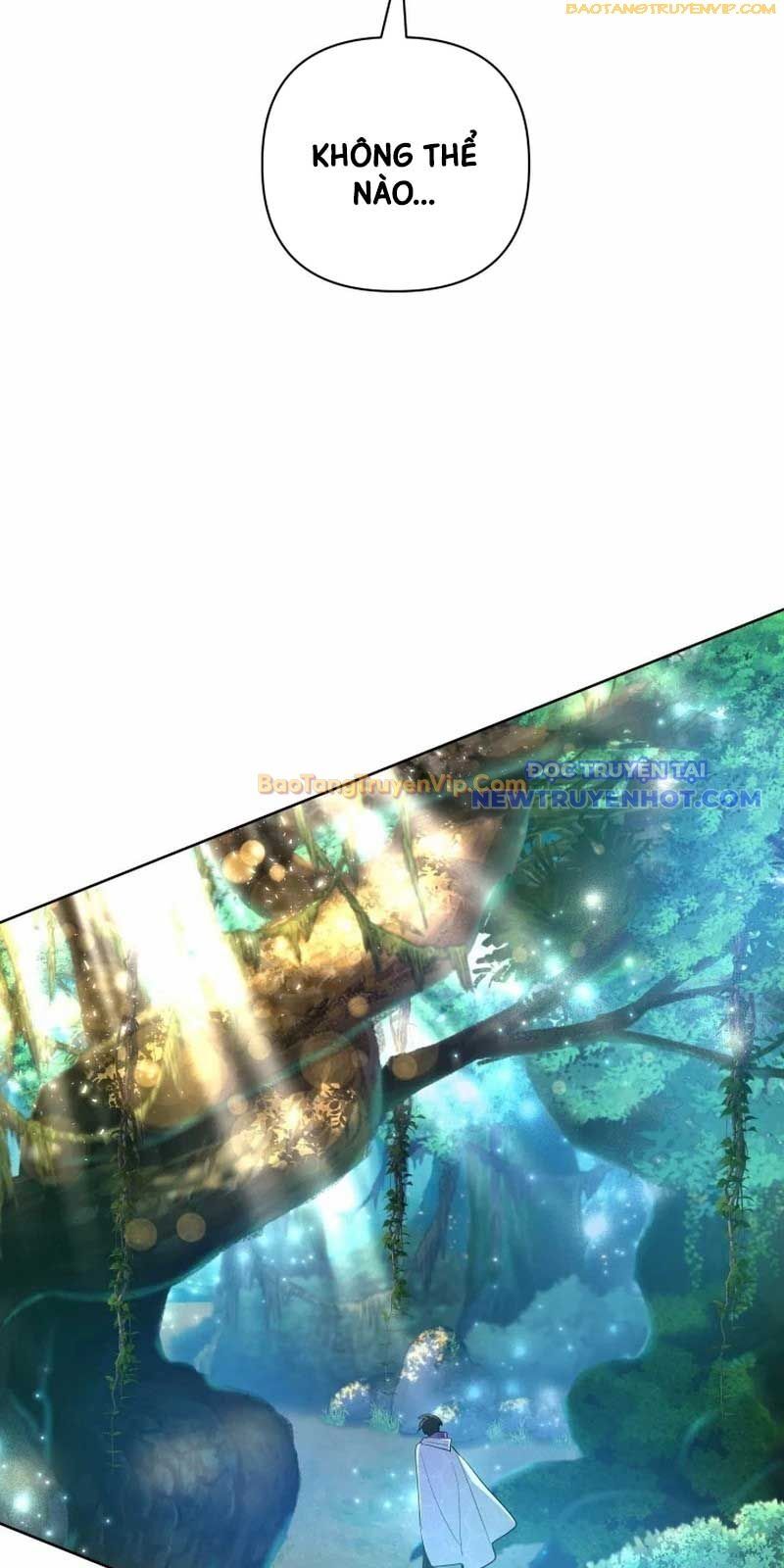 Đại Pháp Sư Thần Thoại Tái Lâm - Chapter 39 - Page 47