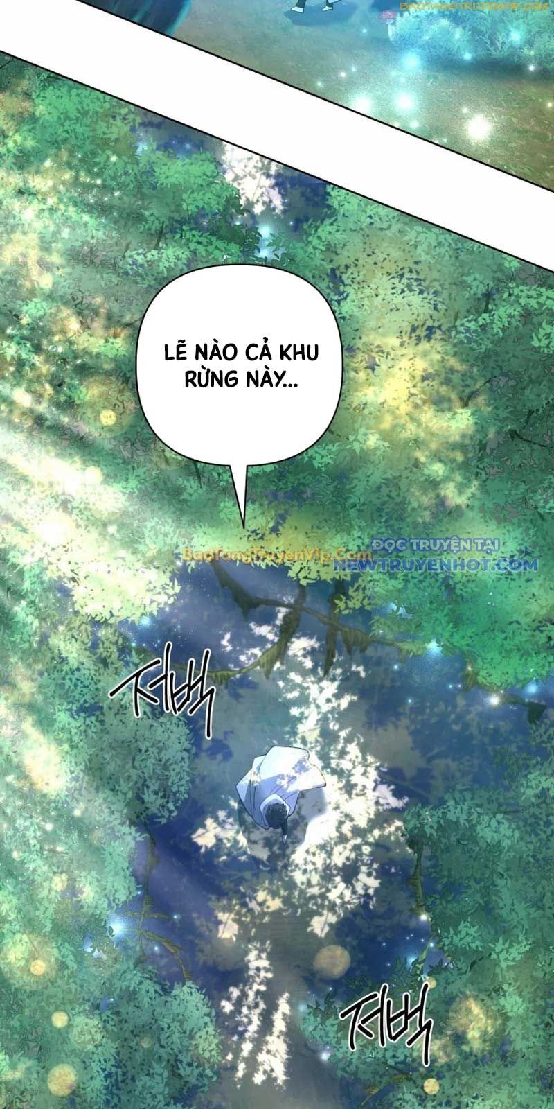 Đại Pháp Sư Thần Thoại Tái Lâm - Chapter 39 - Page 48