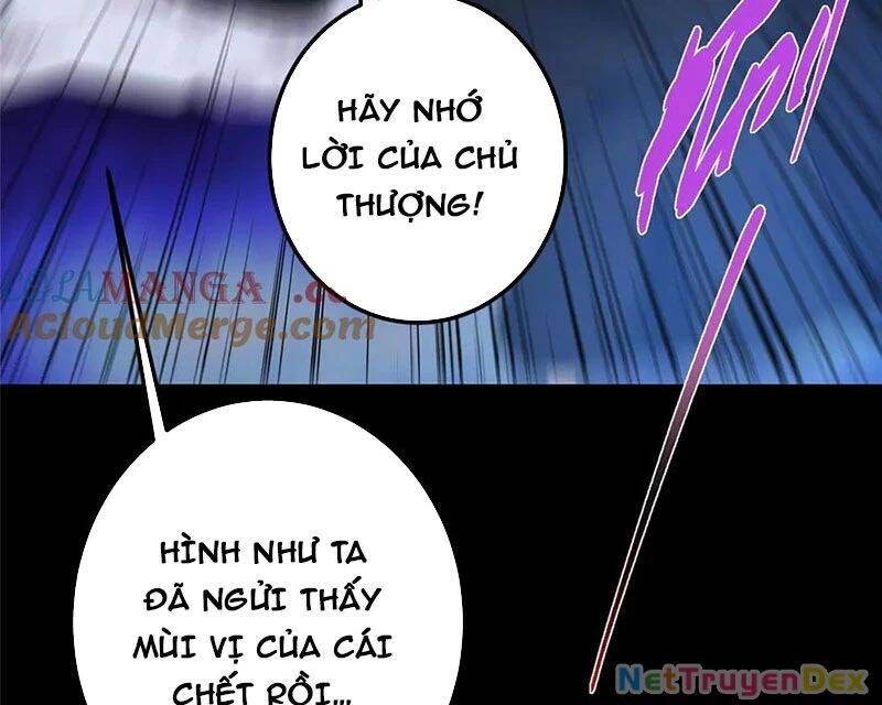 Chưởng Môn Khiêm Tốn Chút - Chapter 456 - Page 65