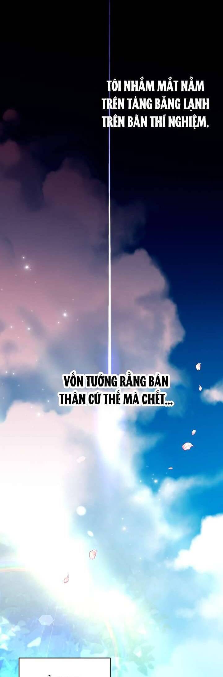 Trở Thành Con Gái Nuôi Của Một Gia Đình Sắp Bị Phá Hủy - Chapter 1 - Page 28