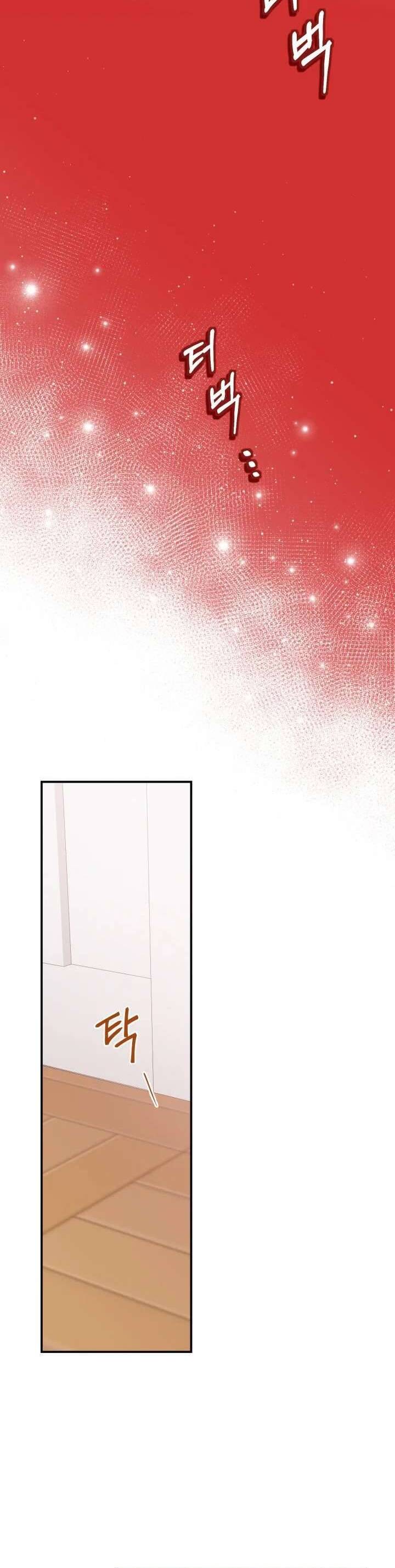 Trở Thành Con Gái Nuôi Của Một Gia Đình Sắp Bị Phá Hủy - Chapter 13 - Page 13