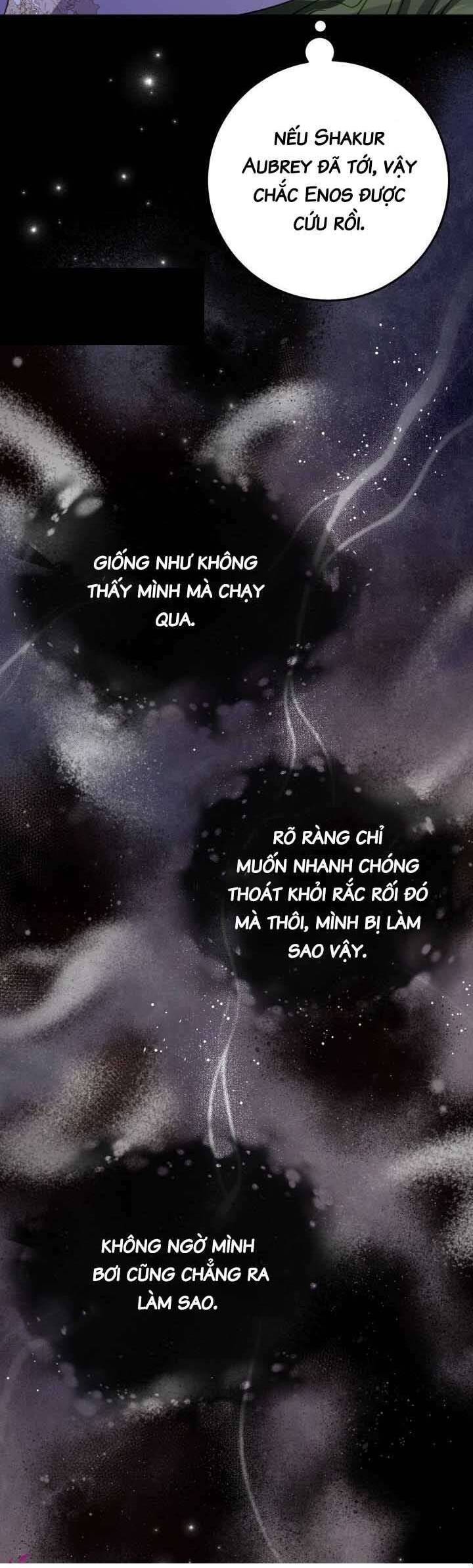 Trở Thành Con Gái Nuôi Của Một Gia Đình Sắp Bị Phá Hủy - Chapter 19 - Page 12