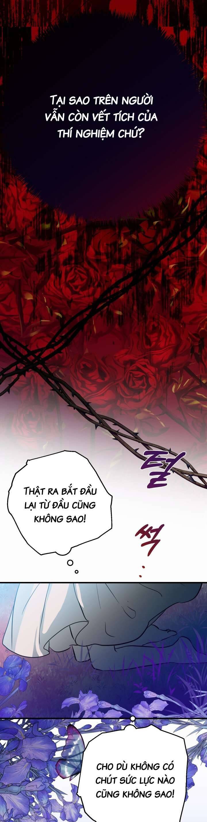 Trở Thành Con Gái Nuôi Của Một Gia Đình Sắp Bị Phá Hủy - Chapter 2 - Page 10