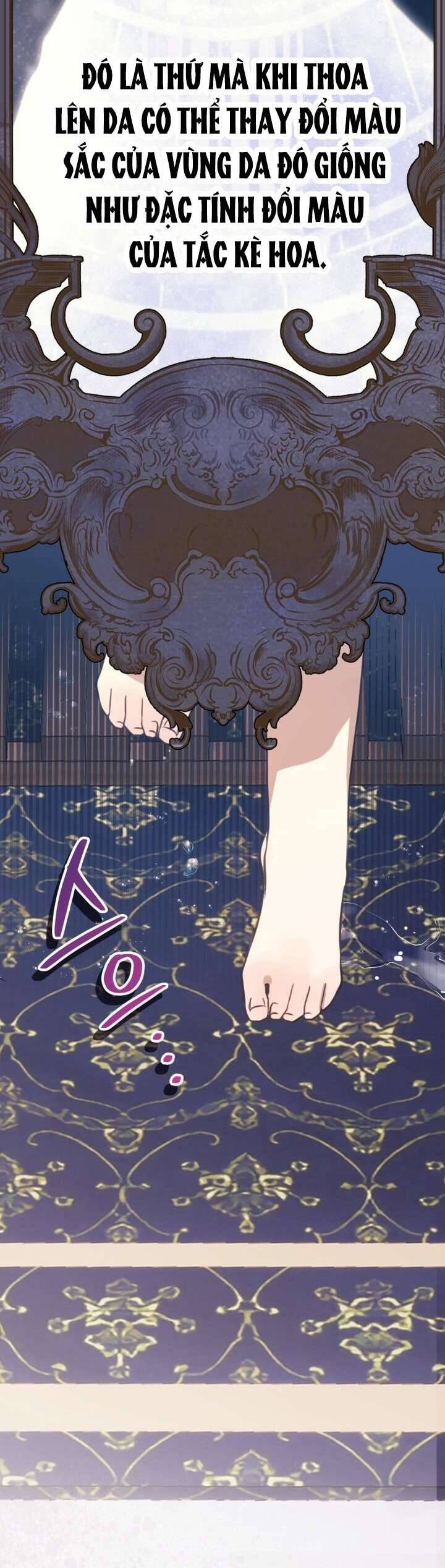 Trở Thành Con Gái Nuôi Của Một Gia Đình Sắp Bị Phá Hủy - Chapter 5 - Page 17