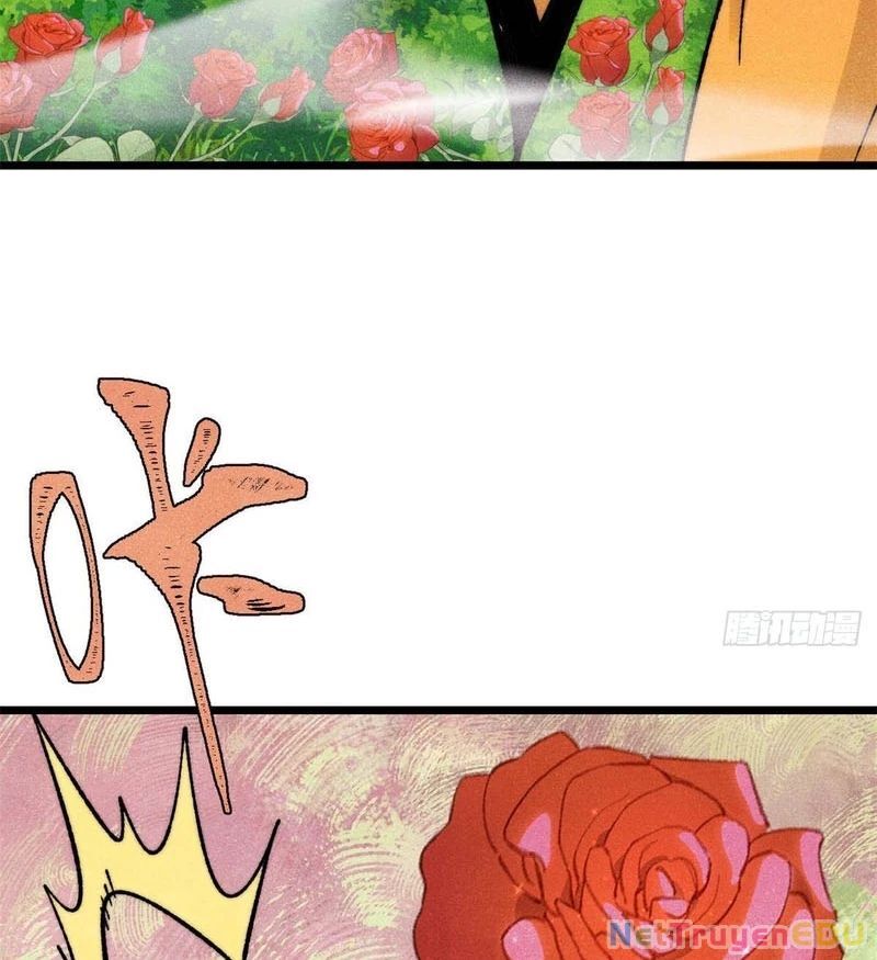 Vạn Cổ Tối Cường Tông - Chapter 398.1 - Page 4