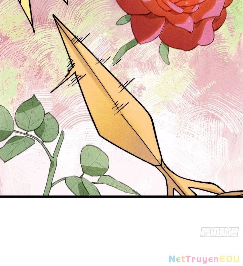 Vạn Cổ Tối Cường Tông - Chapter 398.5 - Page 5