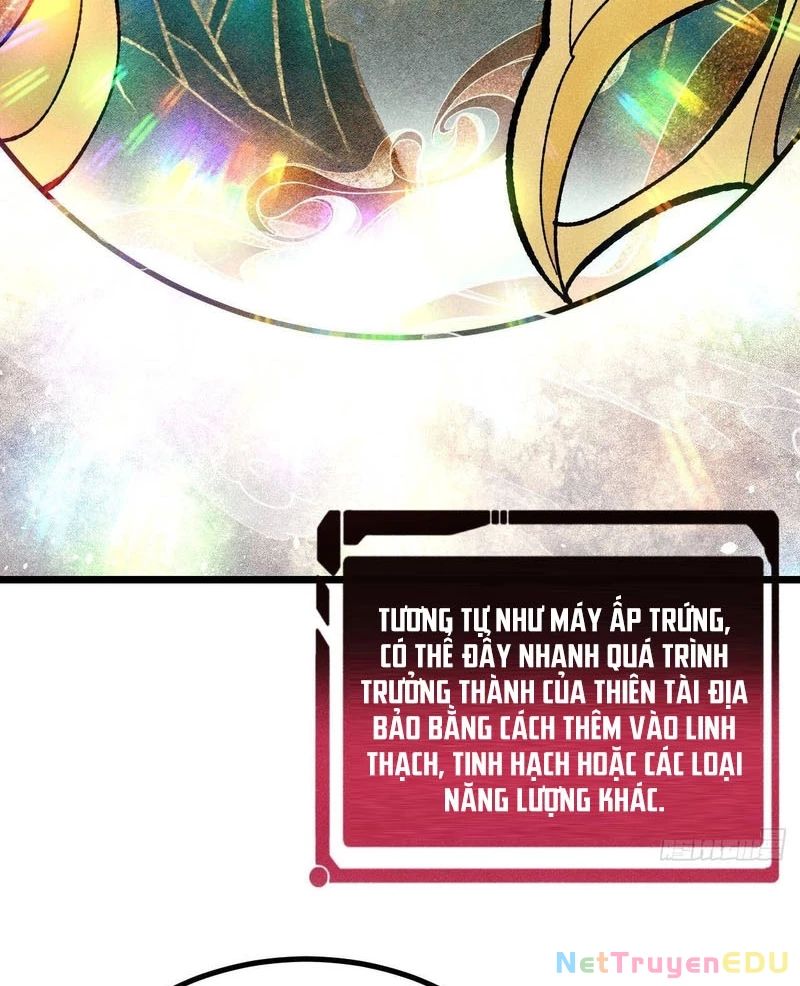 Vạn Cổ Tối Cường Tông - Chapter 399 - Page 26