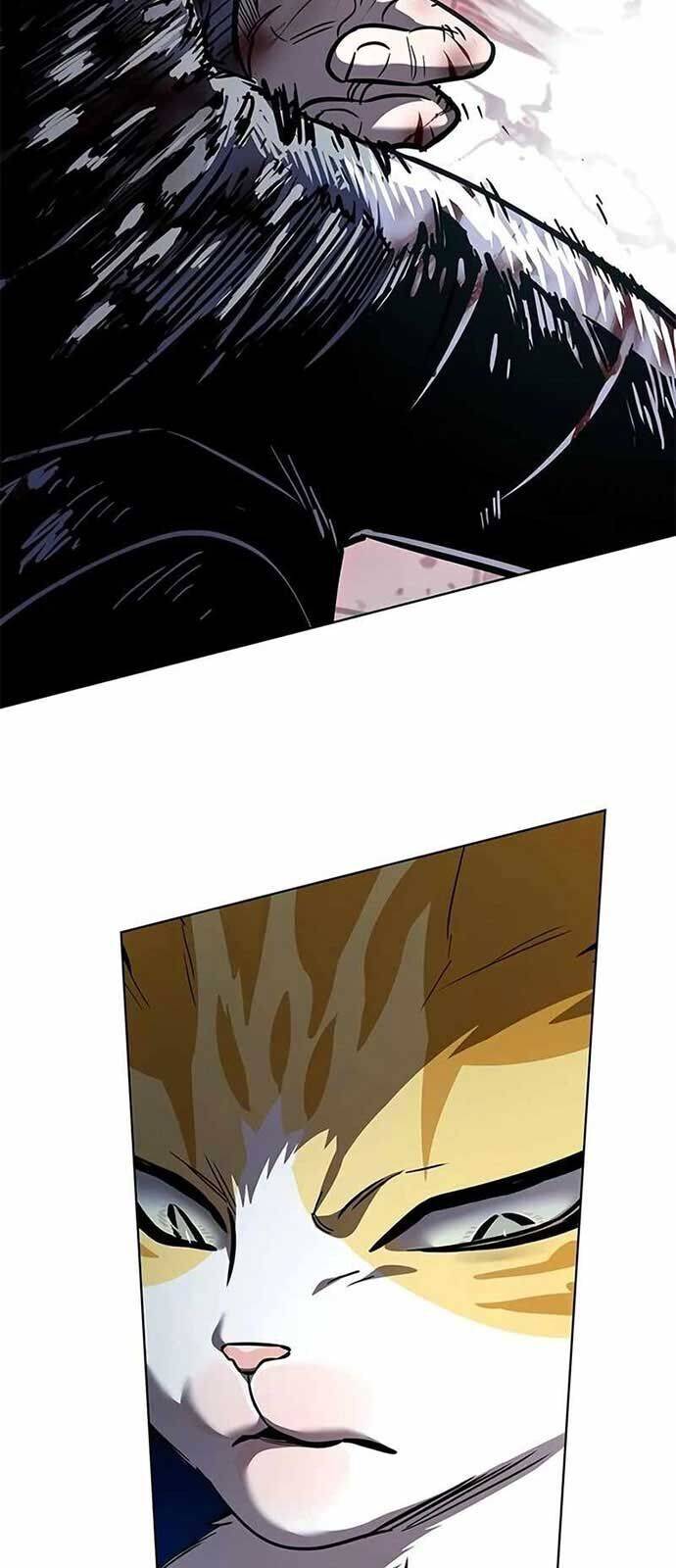 Hoá Thân Thành Mèo - Chapter 335 - Page 8