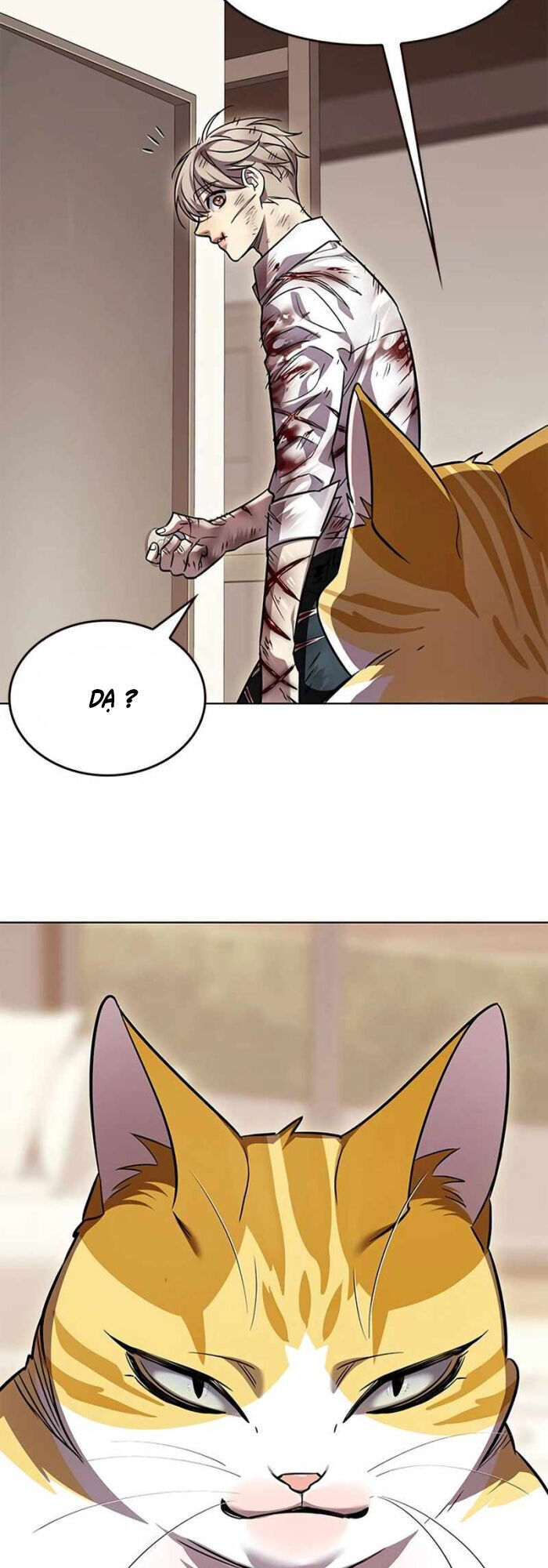 Hoá Thân Thành Mèo - Chapter 336 - Page 50