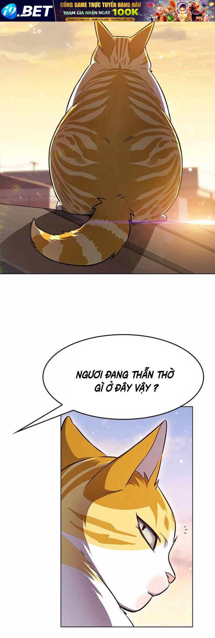 Hoá Thân Thành Mèo - Chapter 336 - Page 65