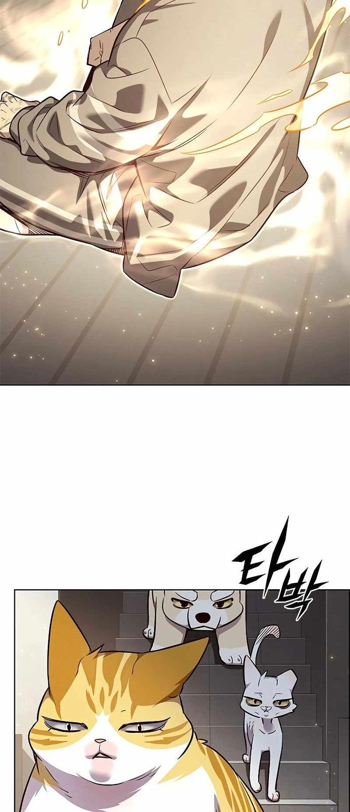 Hoá Thân Thành Mèo - Chapter 337 - Page 26