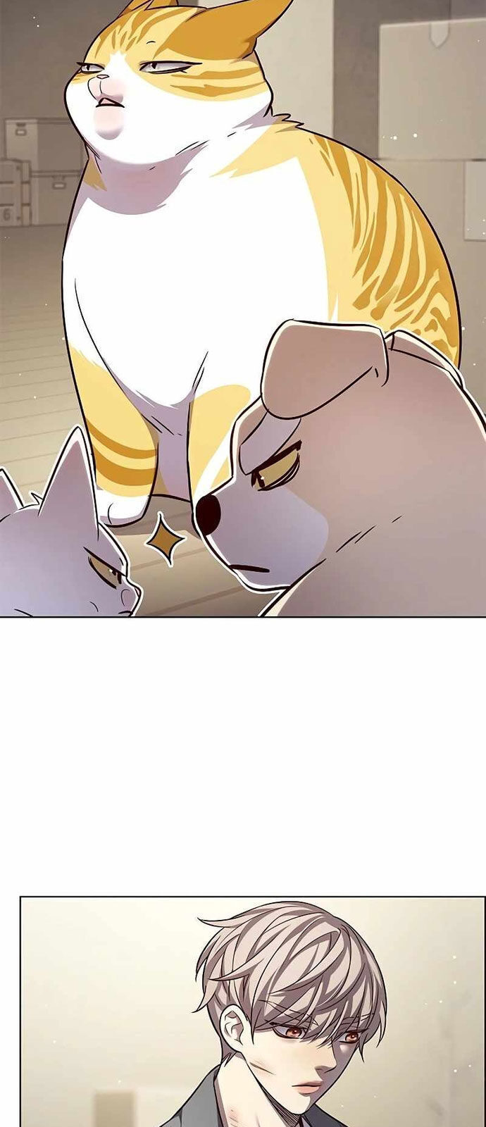 Hoá Thân Thành Mèo - Chapter 337 - Page 31