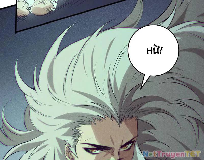 Thảm Họa Tử Linh Sư - Chapter 155 - Page 31